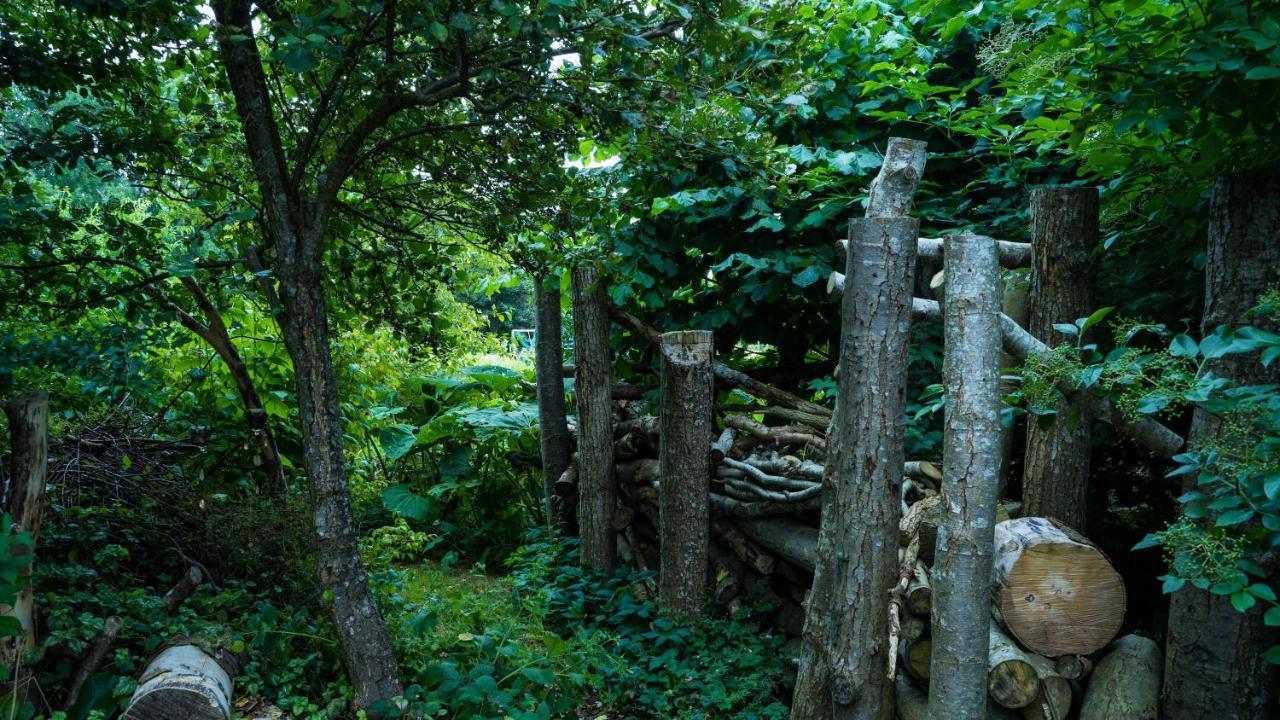 Wonderland Villa Pieterburen Eksteriør billede