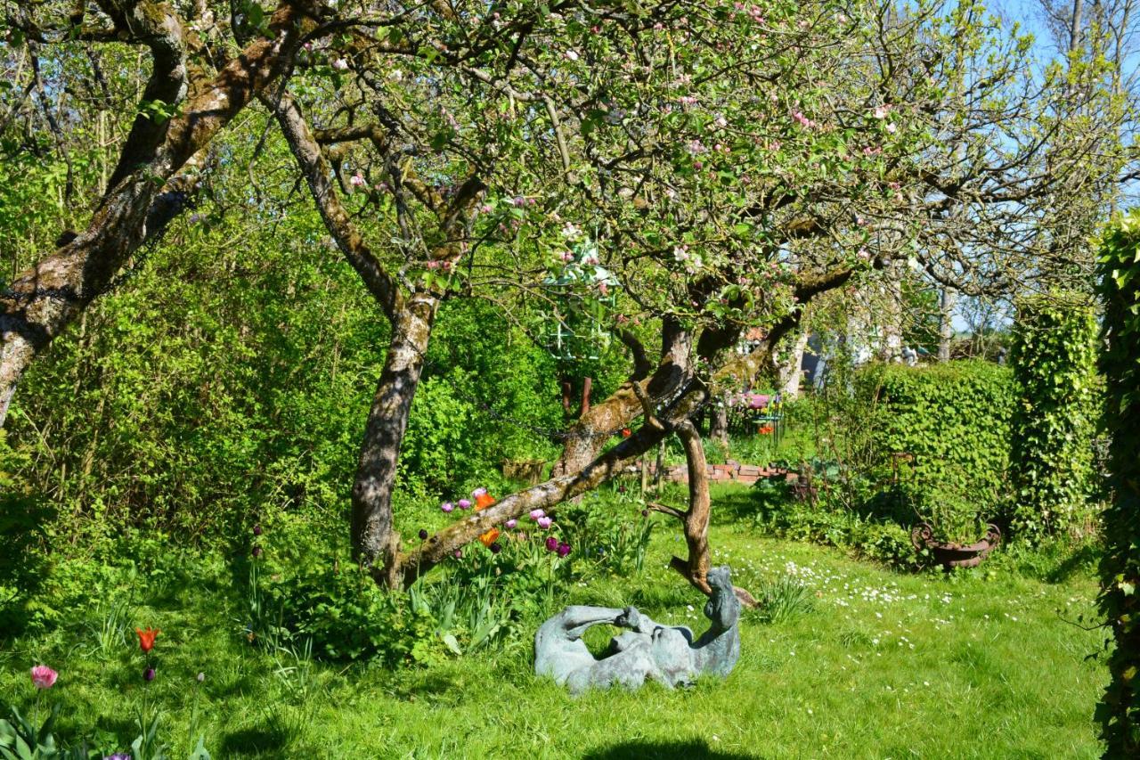 Wonderland Villa Pieterburen Eksteriør billede